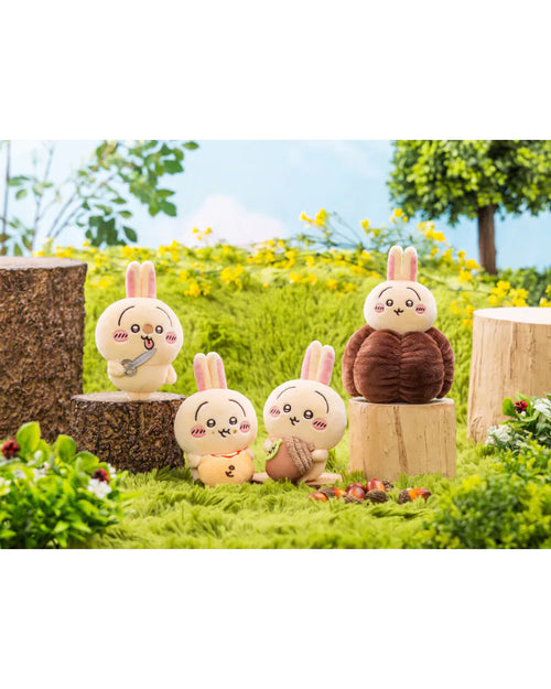 Chiikawa Usagi Lottery - D Award