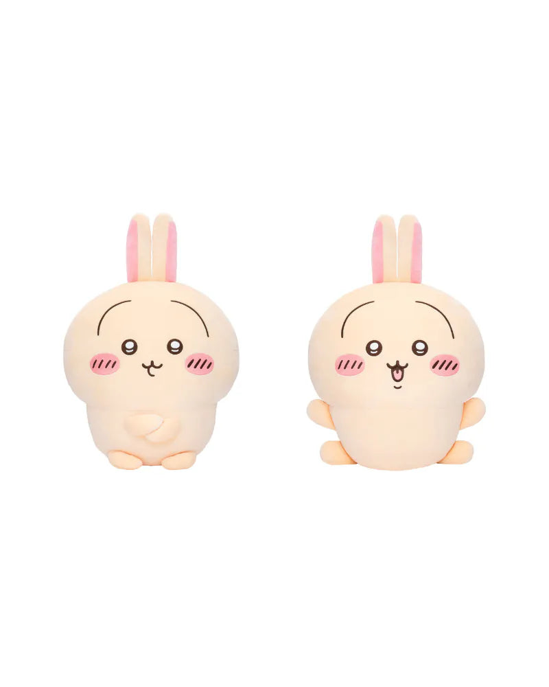 Chiikawa Usagi Lottery - A Award