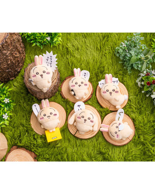 Chiikawa Usagi Lottery - E Award