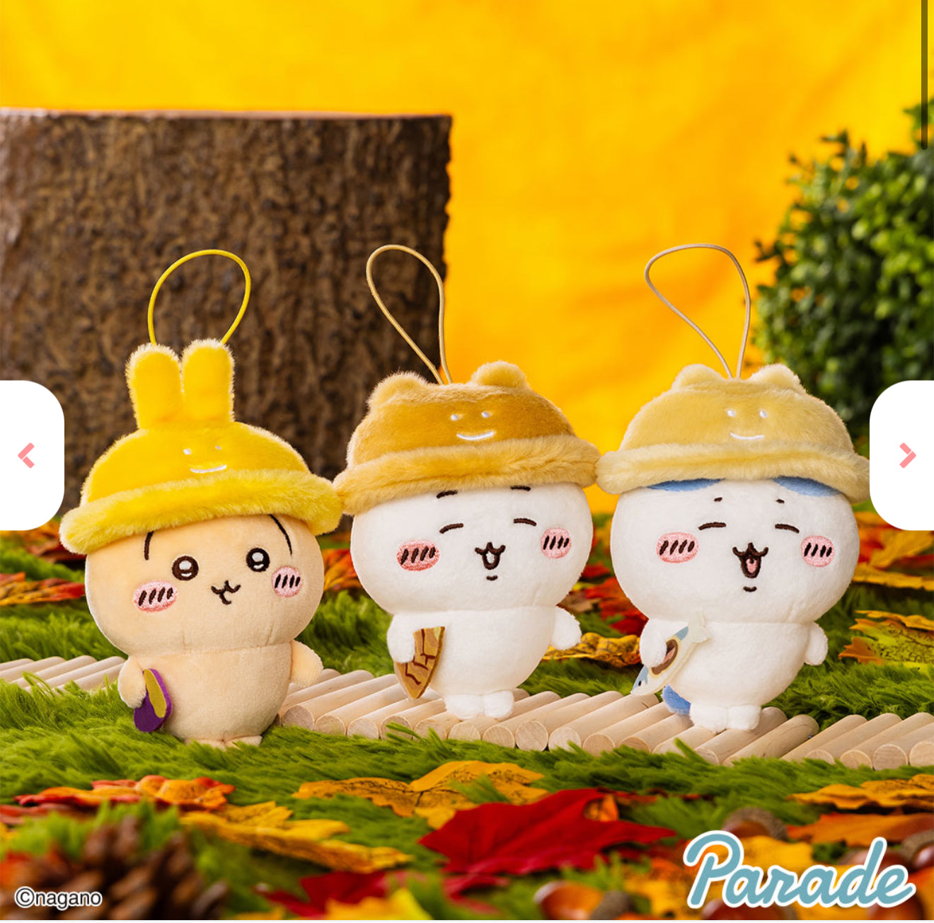 Chiikawa Autumn Series