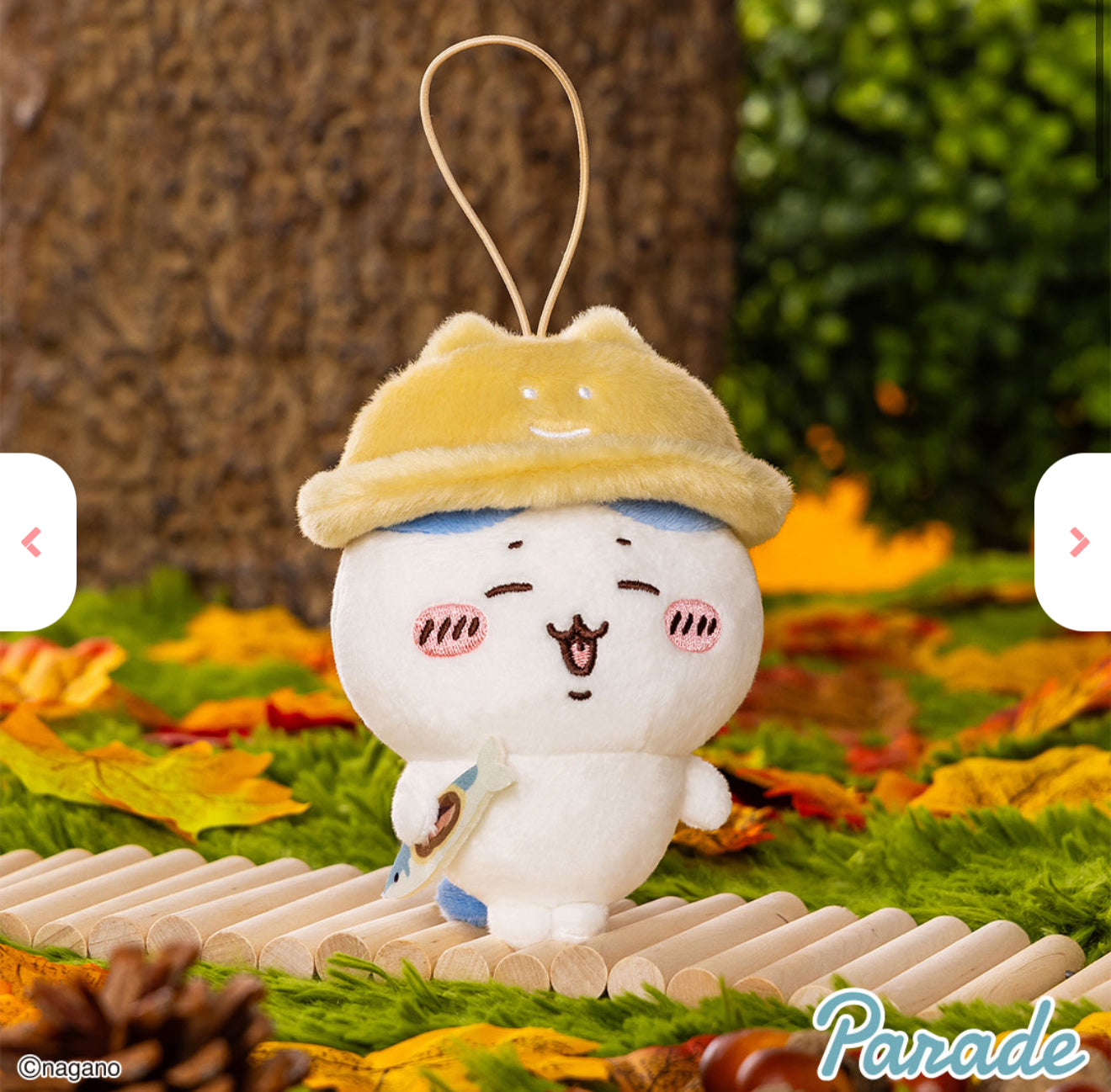 Chiikawa Autumn Series