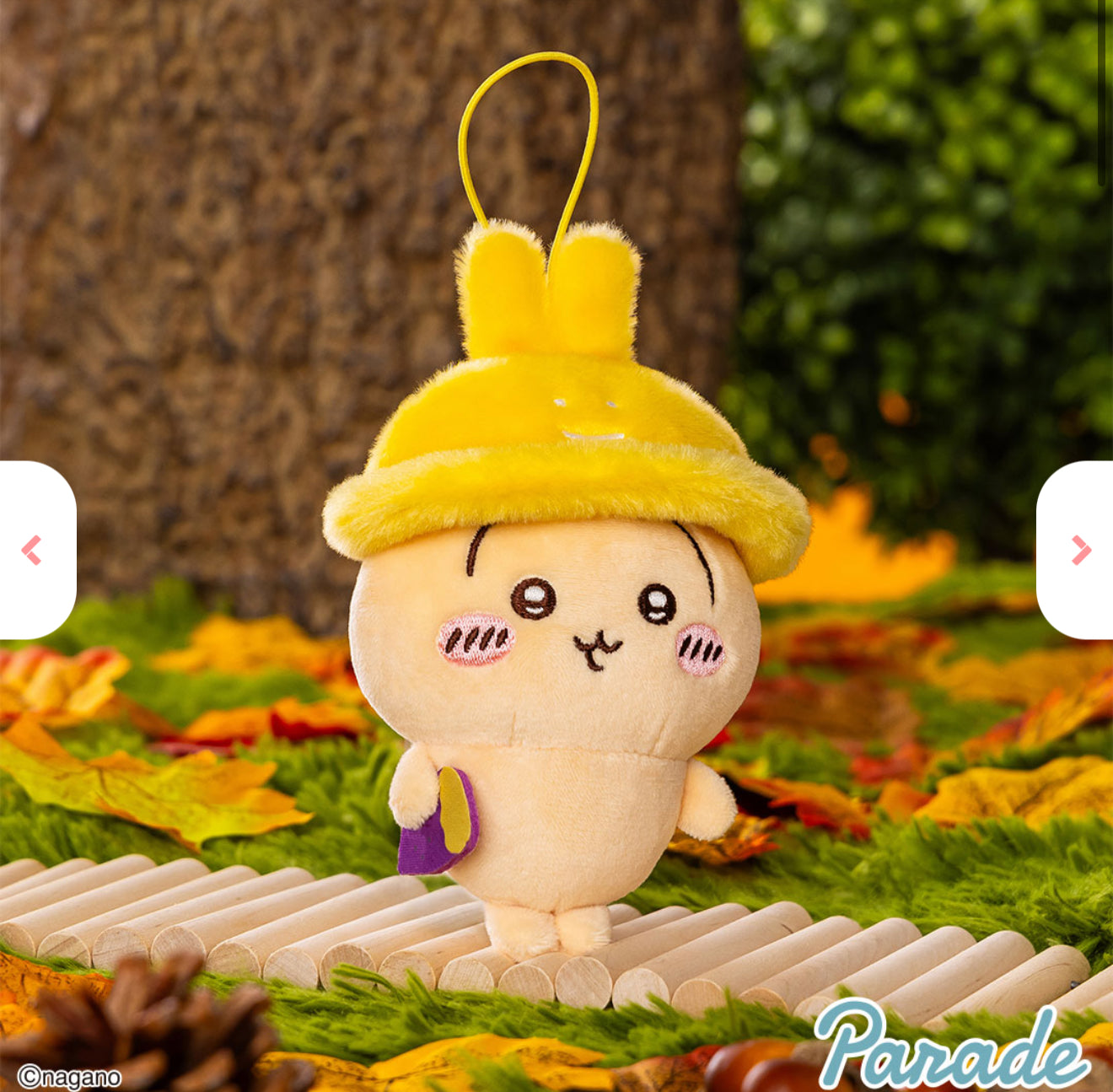 Chiikawa Autumn Series