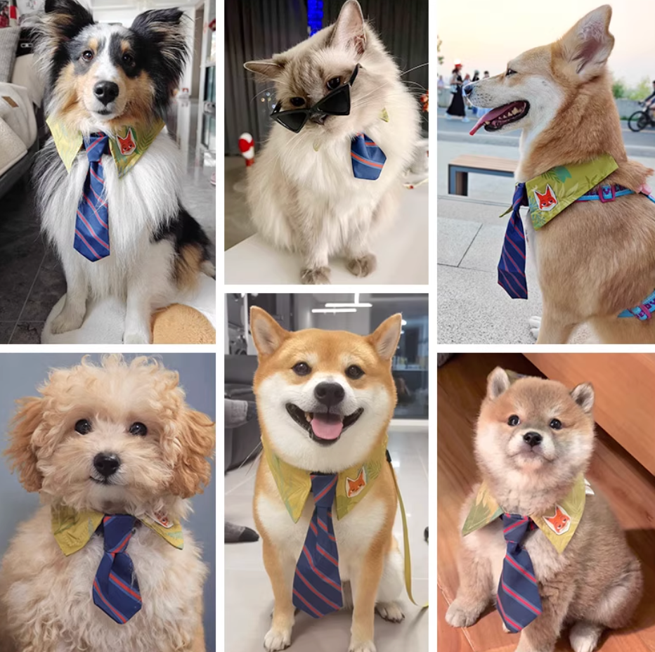 Zootopia - Dog Collar (For Dog)