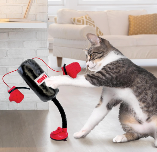 Punching Bag with Boxing Gloves (Pet Toy)