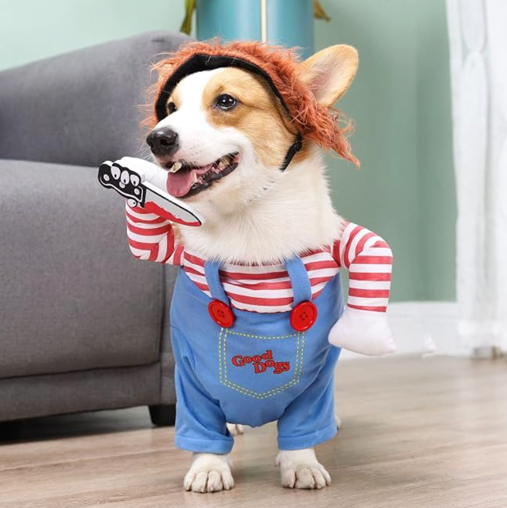 Pet Deadly Doll Halloween Costume - Cat/Dog