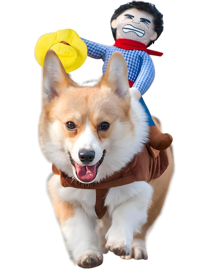 Pet Cowboy Rider Halloween Costume - Dog/Cat