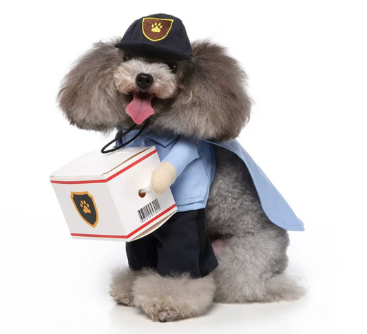 Pet USPS Mail Carrier Halloween Costume - Dog/Cat