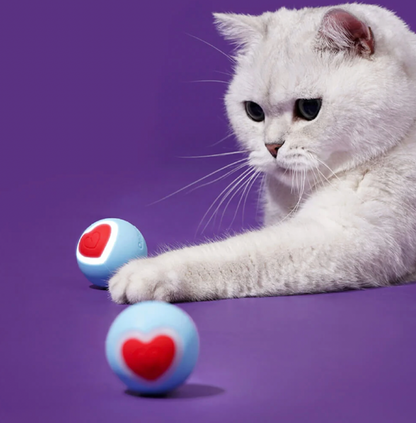 Interactive Smart Cat Toy Ball - Zeze