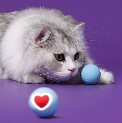 Interactive Smart Cat Toy Ball - Zeze