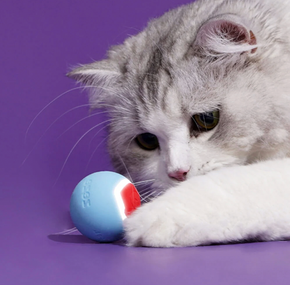 Interactive Smart Cat Toy Ball - Zeze