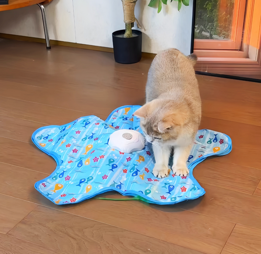 Interactive Cat Toy - Rechargeable Automatic rotating cat toy